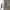 Biker Parka Pria cream photo 6