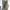 Biker Parka Pria cream photo 4
