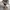 O'Neill Sportswear Casual Hat Pria multicolor photo 5