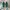 Adidas Streetwear Casual Sneakers Wanita white green photo 3
