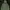 Polo Ralph Lauren Casual Hoody Pria Green