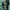 Polo Ralph Lauren Casual Hoody Pria green photo 6