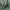 Polo Ralph Lauren Casual Hoody Pria green photo 3