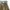Gorpcore Puffer jacket Pria cream photo 5