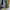 Gorpcore Puffer jacket Pria cream photo 7