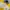 Polo Ralph Lauren Y2K Casual Polo shirt Pria white yellow photo 2