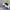 Chaps Lauren Casual Polo Shirt Pria White Blue