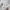 Luxury Cardigan Wanita white photo 6