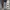 Vintage Y2K Jeans Pria Gray