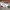 Schott NYC Vintage Y2K Casual pants Pria cream photo 3