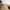 Schott NYC Vintage Y2K Casual pants Pria cream photo 4
