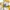 Japanese brand Gorpcore Sportswear Windbreaker Pria white yellow photo 6