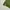 Hangten Vintage Y2K Sweatshirt Pria green photo 5