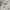 Nike Streetwear Y2K Hoody Pria white photo 6