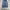 Uniqlo Vintage Y2K Jeans Pria blue photo 1