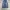 Uniqlo Vintage Y2K Jeans Pria Blue