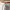 Oakley Vintage Y2K Short Pria white red photo 5