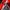 Oakley Vintage Y2K Short Pria white red photo 6
