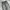 Dickies Vintage Y2K Jeans Pria gray photo 2