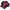 Phenix Streetwear Skater Windbreaker Pria red black photo 8