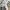 Adidas Casual Sneakers Wanita multicolor photo 1