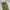 VANS Vintage Streetwear Jeans Pria green photo 2