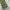 VANS Vintage Streetwear Jeans Pria green photo 5