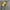 Yonex Sportswear Windbreaker Pria gray yellow photo 7