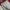 Pancoat Streetwear Sportswear Sweatpants & Joggers Pria gray photo 3