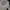 Japanese brand Fairy Coquette Cardigan Wanita white photo 3