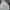 Discus Athletic Streetwear Y2K Hoody Pria white photo 2