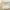 Coquette Pakaian adat Evening dress Wanita cream photo 5