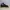 Adidas Sportswear Casual Sneakers Pria black photo 1