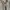 Evisu Streetwear Y2K Hoody Pria gray photo 6