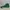 Nike Vintage Indie Sneakers Pria white green photo 2