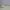 Nike Skater Casual Sneakers Pria green gray photo 2