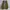 Nike Skater Casual Sneakers Pria green gray photo 5