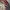 Adidas Casual Track jacket Pria white red photo 2