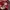Adidas Casual Track jacket Pria white red photo 3