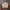 Adidas Casual Track jacket Pria white red photo 1