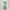 Pomelo Coquette Casual Midi dress Wanita green photo 3