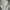 The North Face Casual Sweatshirt Pria gray photo 4