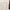 Luxury Going out dress Wanita white photo 2