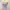 Coquette Casual Evening dress Wanita purple photo 5