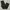 Dickies Streetwear Casual Casual pants Pria black photo 1