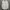 Beams Casual Formal Shirt Pria White Pink