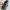 Coach Luxury Minimalist Shoulder bag Wanita black photo 2