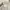 ZARA Luxury Casual Sweatshirt Wanita cream photo 4