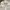ZARA Luxury Casual Sweatshirt Wanita cream photo 3