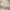 ZARA Luxury Casual Sweatshirt Wanita cream photo 1